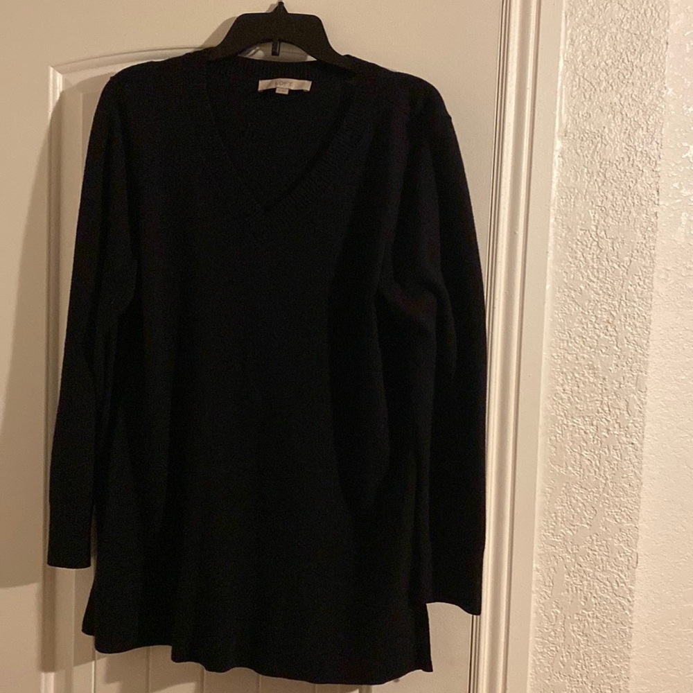 Loft V-neck sweater